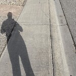 Sidewalk or Curb - Repair at 252 Everbrook Wy SW