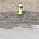 Fire Hydrant Concerns at 3696 78 Av SE
