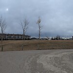 Tree Maintenance - City Owned at 351 Prestwick Close SE Southeast Calgary