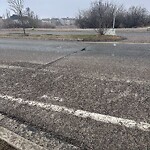 Pothole Repair at 493 85 St SW