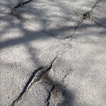 Pothole Repair at 3925 15 A St SW