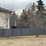 Tree Maintenance - City Owned at 125 Riverside Ba SE