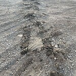 On-Street Bike Lane - Repair at 6725 86 Av SE