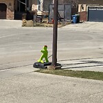 Spring Street Cleaning at 20 Silverstone Mr NW