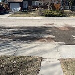Spring Street Cleaning at 452 Queen Charlotte Rd SE