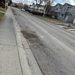 Spring Street Cleaning at 67 Abalone Cr NE