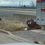 Debris on Street, Sidewalk, Boulevard at 2506 11 Av SE