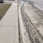 Spring Street Cleaning at 2439 Chicoutimi Dr NW