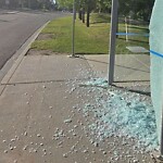 Bus Stop - Shelter Concern at 214 Oakhill Pl SW