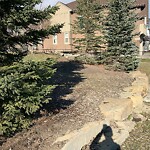 Shrubs, Flowers, Leaves Maintenance in a Park at 76 Evansview Pa NW
