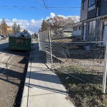 Debris on Street, Sidewalk, Boulevard at 3203 Morley Tr NW