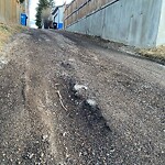 Backlane Maintenance at 1702 24 A St SW