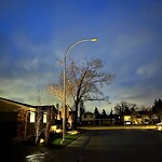 Streetlight Burnt out or Flickering at 864 Lake Lucerne Dr SE