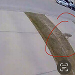 Coyote Sightings and Concerns at 42 Hampstead Way NW Hamptons