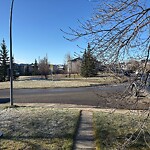 Spring Street Cleaning at 15854 Everstone Rd SW