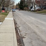 Spring Street Cleaning at 3336 Caribou Dr NW