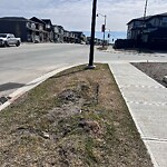 Sidewalk or Curb - Repair at 4 Legacy Forest Ld SE