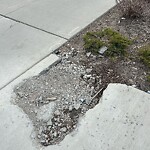 Sidewalk or Curb - Repair at 298 Legacy Village Li SE