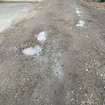 Backlane Maintenance at 1049 Regal Cr NE