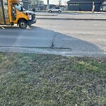 Pothole Repair at 92 Douglas Glen Cr SE