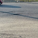 Pothole Repair at 2328 Douglasdale Bv SE