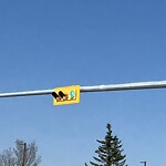 Traffic/Pedestrian Signal Repair at 3470 Sunridge Wy NE