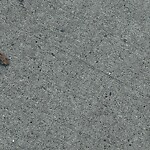Debris on Street, Sidewalk, Boulevard at 1304 13 Av SW