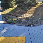 Sidewalk or Curb - Repair at 503 44 Av NW