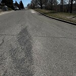 Spring Street Cleaning at 4828 Montalban Av NW