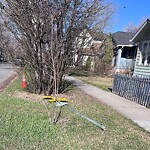 Road Signs on Street, Lane, Sidewalk - Repair or Replace at 236 8 Av NE
