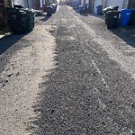Spring Street Cleaning at 2024 32 Av SW