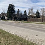 Road Signs on Street, Lane, Sidewalk - Repair or Replace at 232 Bernard Dr NW
