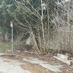 Tree Maintenance - City Owned at 7004 Kennedy Dr SW