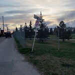 Road Signs on Street, Lane, Sidewalk - Repair or Replace at 446 16 Av NE