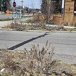 Shrubs, Flowers, Leaves Maintenance in a Park at 3715 30 Av SW