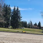 Road Signs on Street, Lane, Sidewalk - Repair or Replace at 921 Strathcona Dr SW