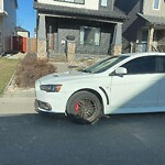 Spring Street Cleaning at 175 Everglen Ri SW