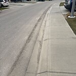 Spring Street Cleaning at 190 Nolancrest Ri NW