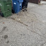 Debris on Backlane at 4538 7 Av SE