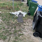 Debris on Backlane at 71 Falworth Co NE