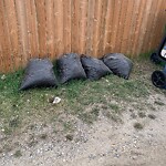Debris on Backlane at 81 Falworth Wy NE