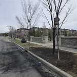 Tree Maintenance - City Owned at 1957 Panatella Bv NW