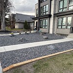 Tree Protection during Construction at 3232 Kerrydale Rd SW
