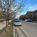 Tree Maintenance - City Owned at 356 Mckenzie Towne Ga SE