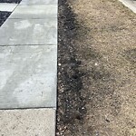 Sidewalk or Curb - Repair at 1933 Bowness Rd NW