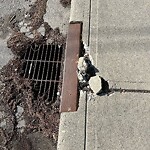 Sidewalk or Curb - Repair at 5356 La Salle Cr SW