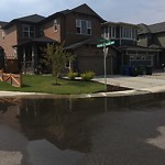 Catch Basin Flooding / Pooling (old) at 183 Cougar Ridge Mr SW