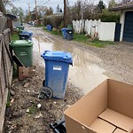 Backlane Maintenance at 3306 38 St SW