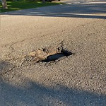 Pothole Repair at 87 Millrise Wy SW