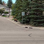 Sign on Street, Lane, Sidewalk - Repair or Replace at 14659 Deer Ridge Dr SE